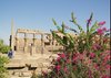 Asuán – El Templo de Filae